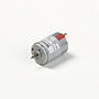 DMN29 Series DC Brush Motors (DMN29B)